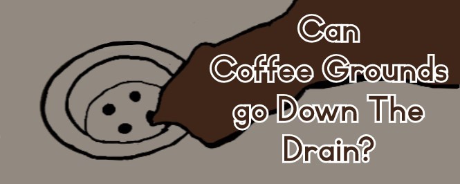 How To Clean Coffee Grounds From The Drain  