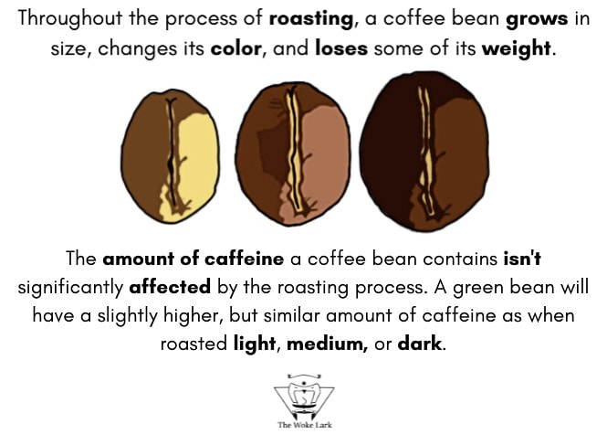 Which Coffee Has The Most Caffeine Explained The Woke Lark