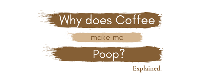 why-does-coffee-make-me-poop-wokelark